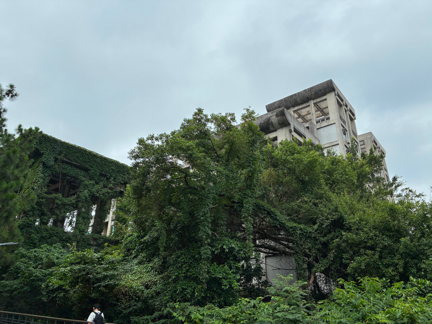 Side view of the Physics Building when arriving from the Guest House